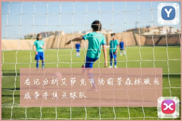 名记分析艾萨克市场前景森林狼或成争夺焦点球队